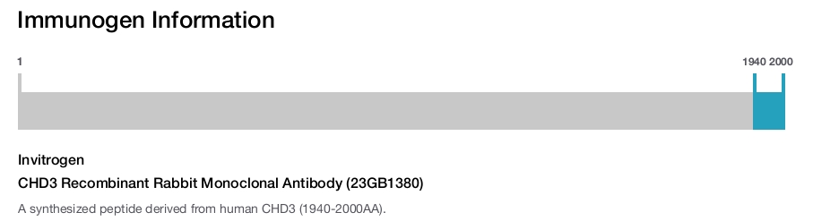 CHD3 Recombinant Rabbit Monoclonal Antibody (23GB1380)