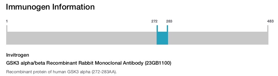 GSK3 alpha/beta Recombinant Rabbit Monoclonal Antibody (23GB1100)