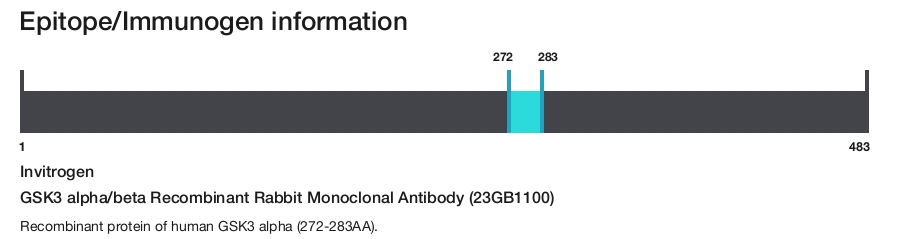 GSK3 alpha/beta Recombinant Rabbit Monoclonal Antibody (23GB1100)