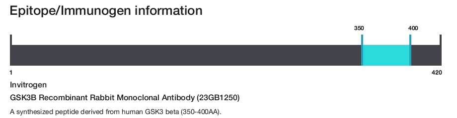 GSK3B Recombinant Rabbit Monoclonal Antibody (23GB1250)