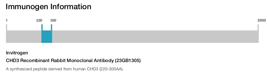 CHD3 Recombinant Rabbit Monoclonal Antibody (23GB1305)
