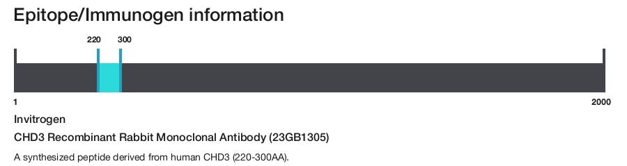 CHD3 Recombinant Rabbit Monoclonal Antibody (23GB1305)