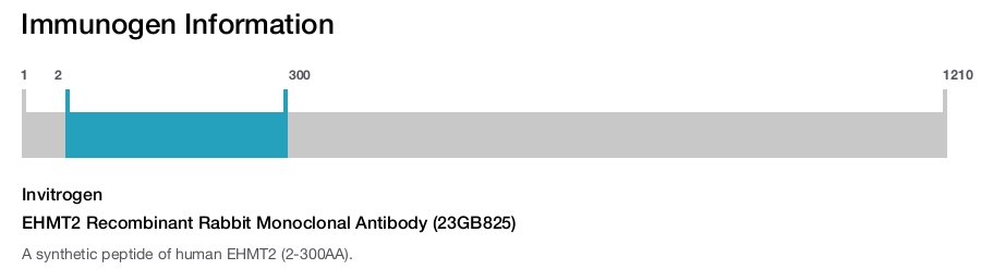 EHMT2 Recombinant Rabbit Monoclonal Antibody (23GB825)