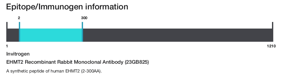 EHMT2 Recombinant Rabbit Monoclonal Antibody (23GB825)