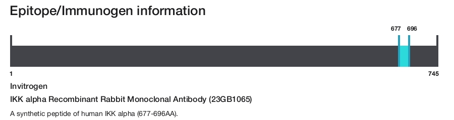 IKK alpha Recombinant Rabbit Monoclonal Antibody (23GB1065)