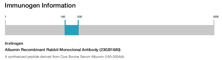 Albumin Recombinant Rabbit Monoclonal Antibody (23GB1680)
