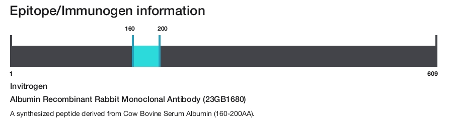 Albumin Recombinant Rabbit Monoclonal Antibody (23GB1680)