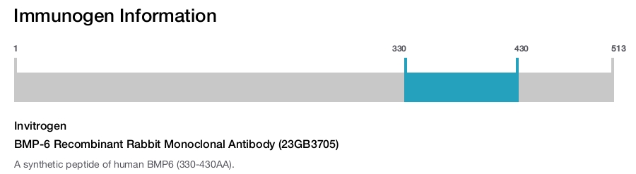 BMP-6 Recombinant Rabbit Monoclonal Antibody (23GB3705)