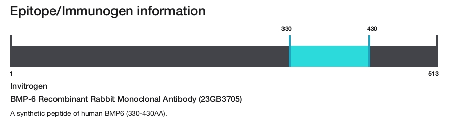 BMP-6 Recombinant Rabbit Monoclonal Antibody (23GB3705)
