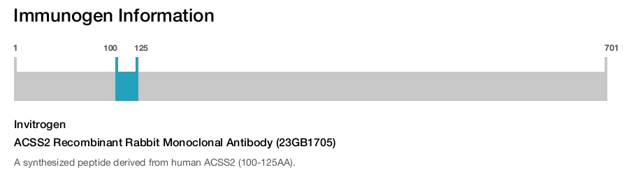 ACSS2 Recombinant Rabbit Monoclonal Antibody (23GB1705)