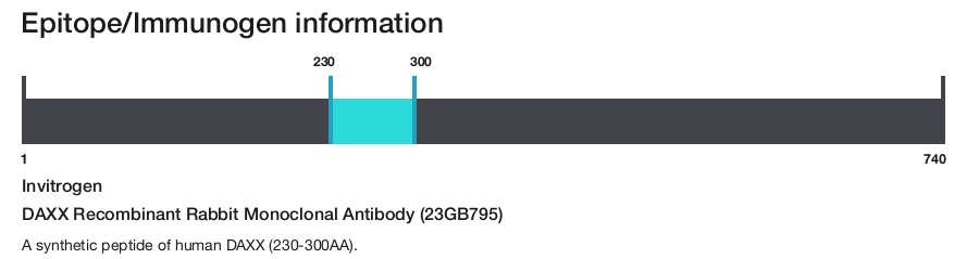 DAXX Recombinant Rabbit Monoclonal Antibody (23GB795)
