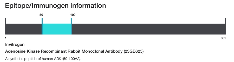 Adenosine Kinase Recombinant Rabbit Monoclonal Antibody (23GB625)