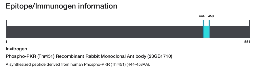 Phospho-PKR (Thr451) Recombinant Rabbit Monoclonal Antibody (23GB1710)