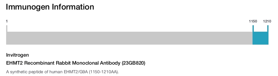 EHMT2 Recombinant Rabbit Monoclonal Antibody (23GB820)