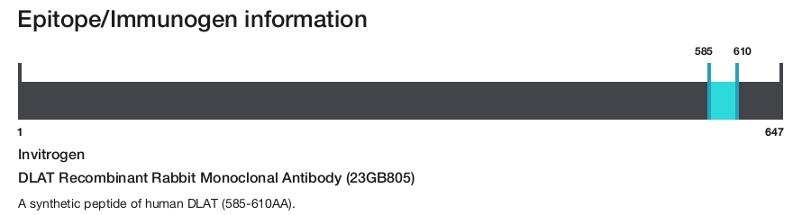 DLAT Recombinant Rabbit Monoclonal Antibody (23GB805)