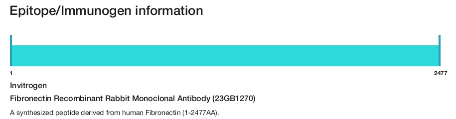Fibronectin Recombinant Rabbit Monoclonal Antibody (23GB1270)