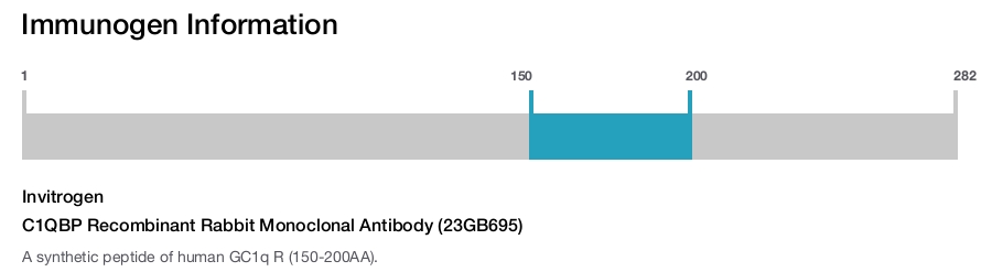 C1QBP Recombinant Rabbit Monoclonal Antibody (23GB695)
