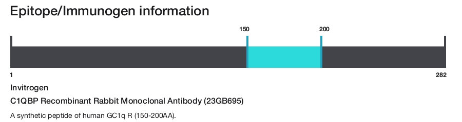 C1QBP Recombinant Rabbit Monoclonal Antibody (23GB695)