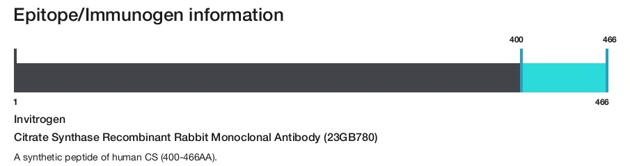 Citrate Synthase Recombinant Rabbit Monoclonal Antibody (23GB780)