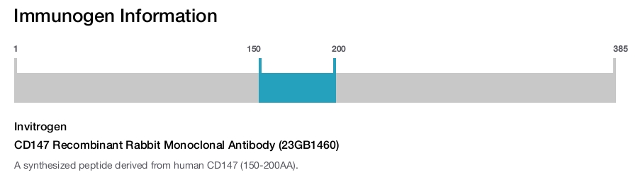 CD147 Recombinant Rabbit Monoclonal Antibody (23GB1460)