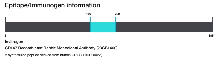 CD147 Recombinant Rabbit Monoclonal Antibody (23GB1460)