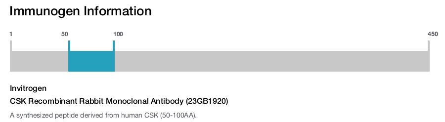 CSK Recombinant Rabbit Monoclonal Antibody (23GB1920)