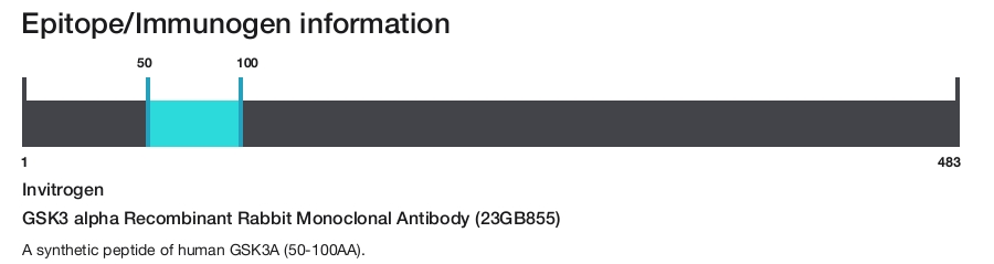 GSK3 alpha Recombinant Rabbit Monoclonal Antibody (23GB855)