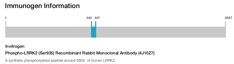 Phospho-LRRK2 (Ser935) Recombinant Rabbit Monoclonal Antibody (4J10Z7)