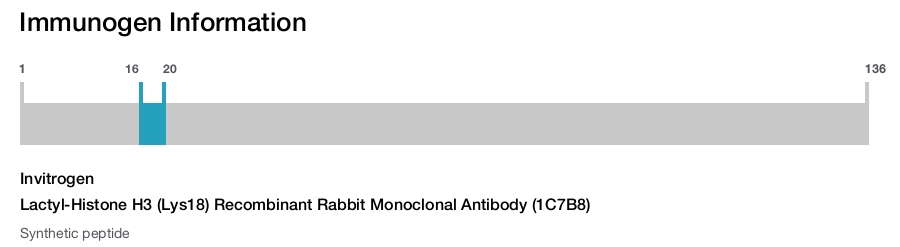 Lactyl-Histone H3 (Lys18) Recombinant Rabbit Monoclonal Antibody (1C7B8)