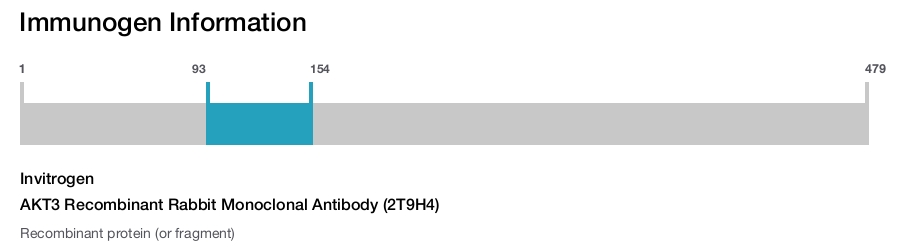 AKT3 Recombinant Rabbit Monoclonal Antibody (2T9H4)