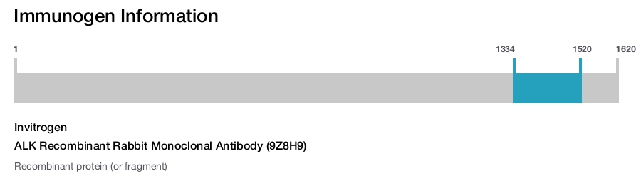 ALK Recombinant Rabbit Monoclonal Antibody (9Z8H9)