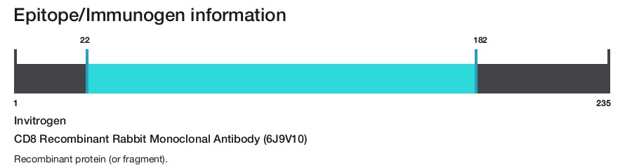 CD8 Recombinant Rabbit Monoclonal Antibody (6J9V10)