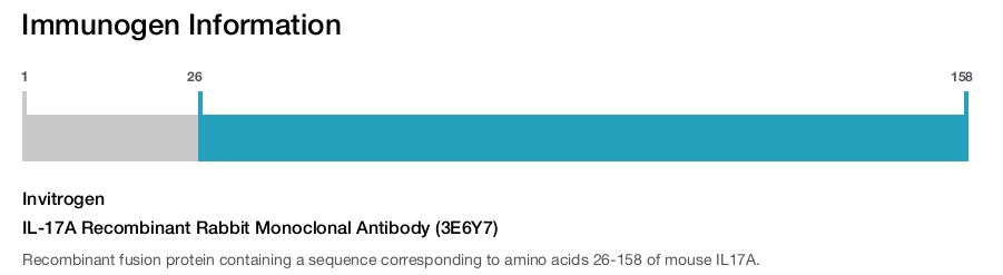 IL-17A Recombinant Rabbit Monoclonal Antibody (3E6Y7)