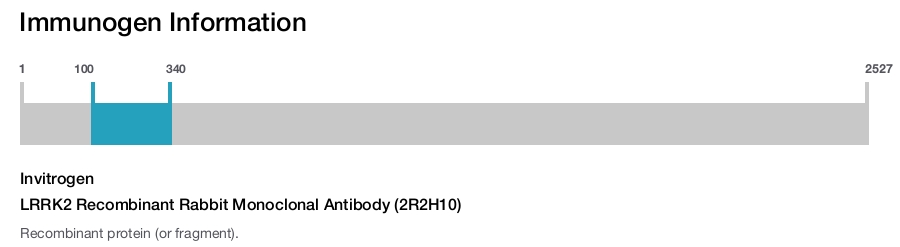 LRRK2 Recombinant Rabbit Monoclonal Antibody (2R2H10)