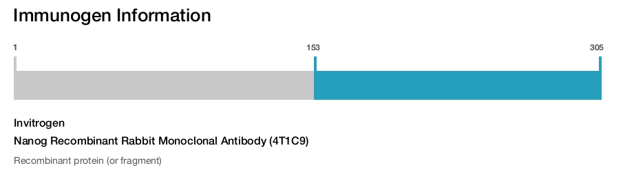 Nanog Recombinant Rabbit Monoclonal Antibody (4T1C9)