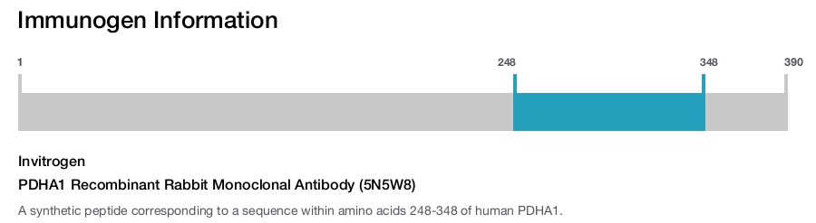 PDHA1 Recombinant Rabbit Monoclonal Antibody (5N5W8)