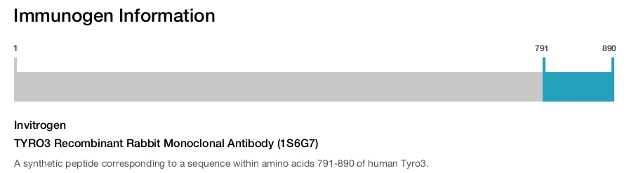 TYRO3 Recombinant Rabbit Monoclonal Antibody (1S6G7)