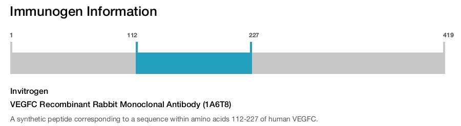 VEGFC Recombinant Rabbit Monoclonal Antibody (1A6T8)