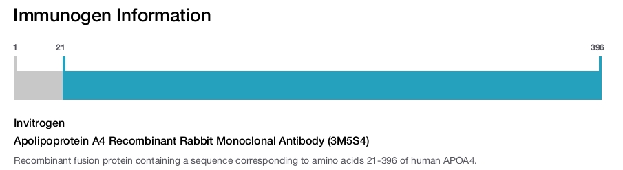 Apolipoprotein A4 Recombinant Rabbit Monoclonal Antibody (3M5S4)