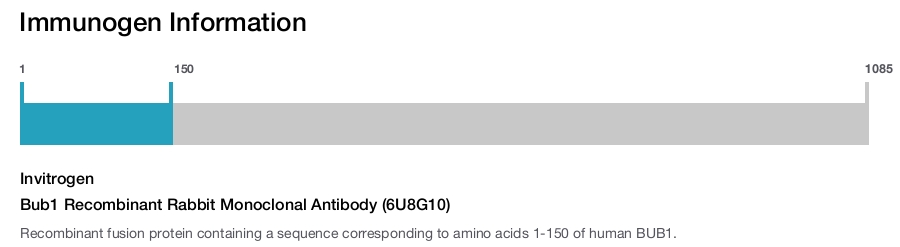 Bub1 Recombinant Rabbit Monoclonal Antibody (6U8G10)