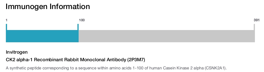 CK2 alpha-1 Recombinant Rabbit Monoclonal Antibody (2P3M7)