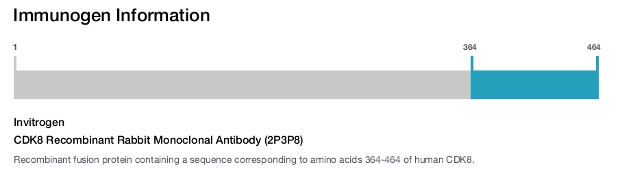 CDK8 Recombinant Rabbit Monoclonal Antibody (2P3P8)