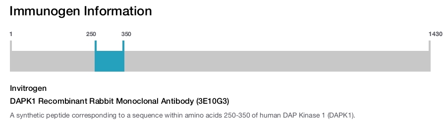 DAPK1 Recombinant Rabbit Monoclonal Antibody (3E10G3)