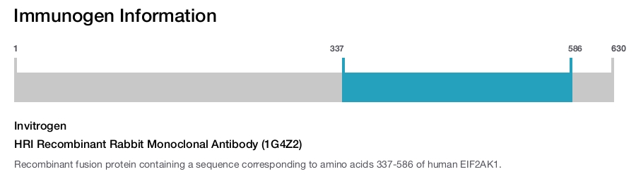 HRI Recombinant Rabbit Monoclonal Antibody (1G4Z2)