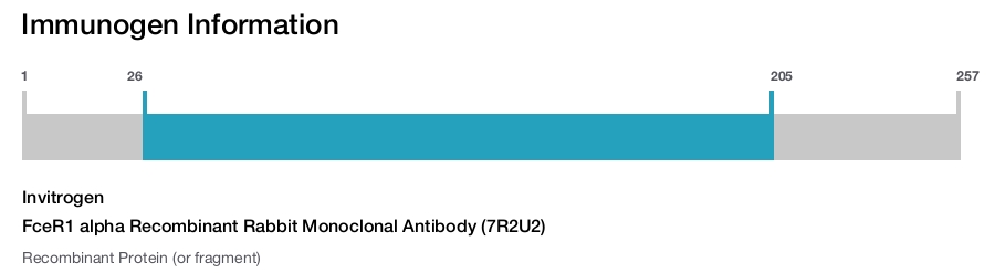 FceR1 alpha Recombinant Rabbit Monoclonal Antibody (7R2U2)