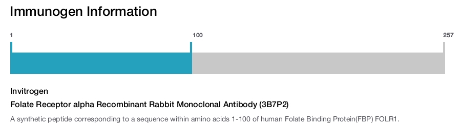 Folate Receptor alpha Recombinant Rabbit Monoclonal Antibody (3B7P2)