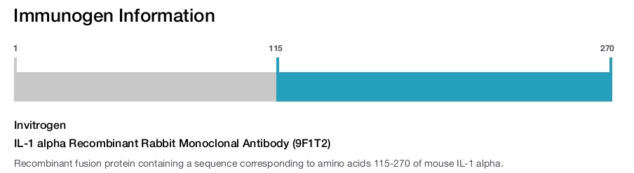 IL-1 alpha Recombinant Rabbit Monoclonal Antibody (9F1T2)