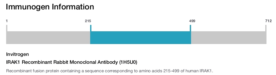 IRAK1 Recombinant Rabbit Monoclonal Antibody (1H5U0)