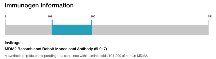 MDM2 Recombinant Rabbit Monoclonal Antibody (5L9L7)
