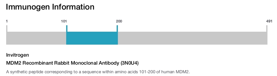MDM2 Recombinant Rabbit Monoclonal Antibody (3N0U4)